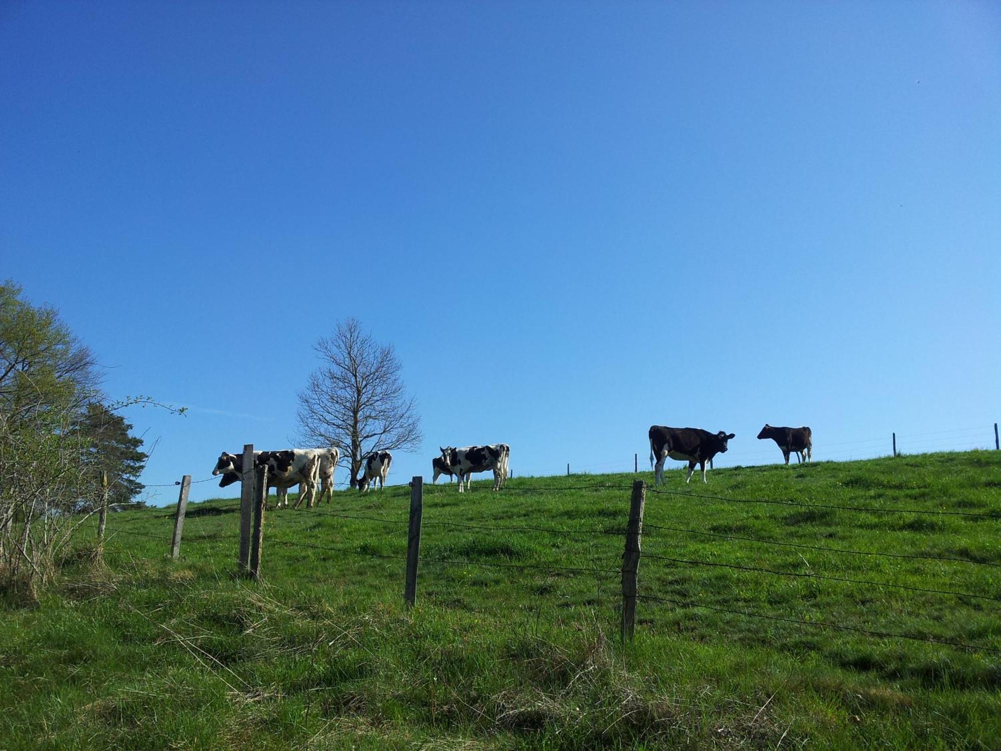 Vila Gite La Grange De L'Effraie Beauzac Exteriér fotografie